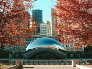 Article créer une LLC dans l'Illinois