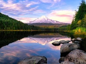 Article créer une llc dans l'Oregon - Lac Trillium